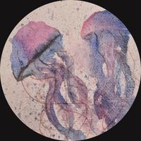 Melly - JELLYFISH