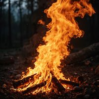 Silk - Fire Burning
