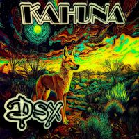 DSX - Kahuna