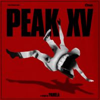PAMELA - PEAK XV