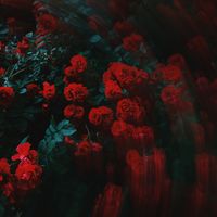 Chambers - Love Me (Explicit)