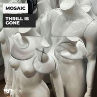 mosaic - Thrill Is Gone