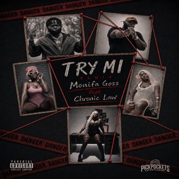 Monifa Goss - TRY MI (REMIX [Explicit])