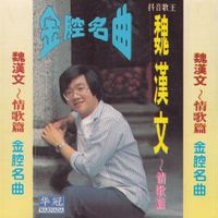 魏汉文 - 金腔名曲