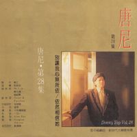 唐尼 - 唐尼，第二十八集