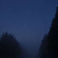CHAN - 딤섬