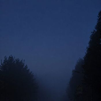 CHAN - 딤섬