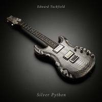 Edward Tuckfield - Silver Python