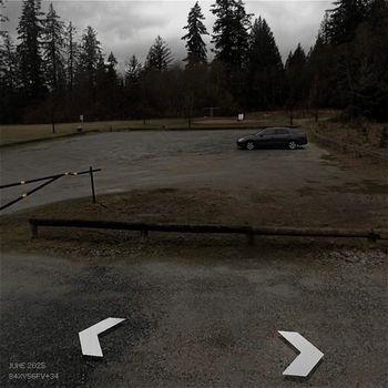 Virgil - Fallow