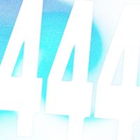 CHANEL - 444