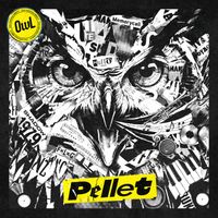 OwL - Pellet (Explicit)