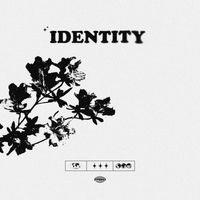 fried - IDENTITY