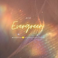 ACE - Evergreen