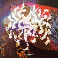 Mau - Holy Mountain
