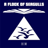 A Flock Of Seagulls - Him