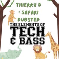 Thierry D - SAFARI DUBSTEP