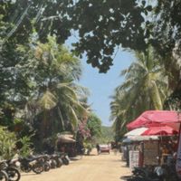 Nila - llámale hogar