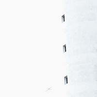 Monotone - Fictional Science