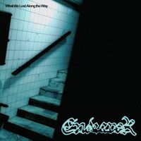 Endeavor - What We Lost Along the Way (Explicit)