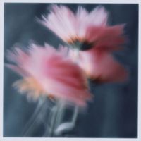 Portrait - If You Need It