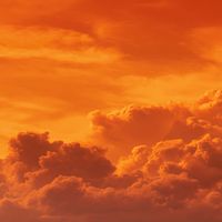 Daisey Harper - Orange Soda Sunset