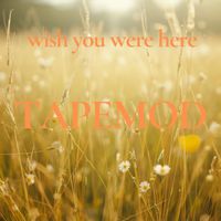 TAPEMOD - WISH YOU WERE HERE