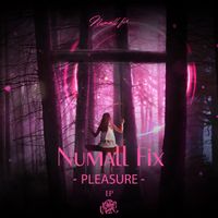 Numall Fix - Pleasure