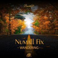 Numall Fix - Wandering