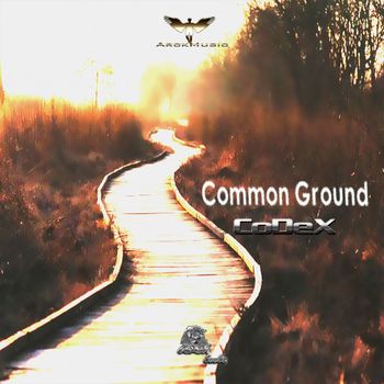 CoDeX - Common Ground