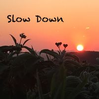 Benny Purnell - Slow Down