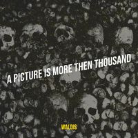 Waldis - A Picture Is More Then Thousand