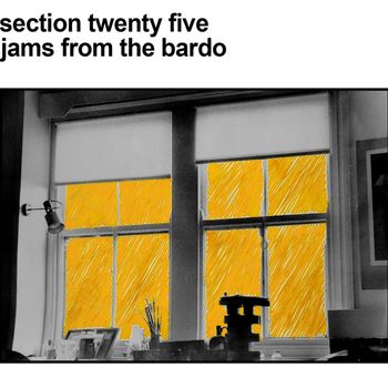 Section 25 - jams from the bardo (Explicit)