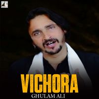 Ghulam Ali - Vichora
