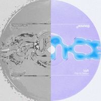 Valfi - Flak & Dekker