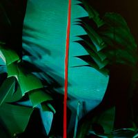 BLEND - Jungle Lofi