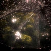 apocalypse - Why Is It Still Raining?