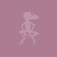 Fu - Swamp Music (Explicit)