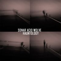Sonar Acid Wolve - Hauntology