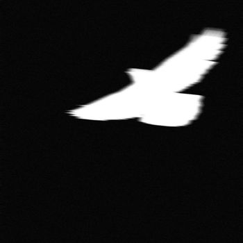 XeeJay - Broken Wings