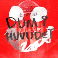 Anis Don Demina - Dum i huvudet