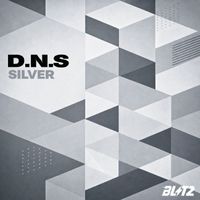 D.N.S - Silver
