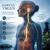 Nervus Vagus Healing - Nervus Vagus Healing to Rewire Your Brain from Anxiety (The Key to Healing, Calm & Connection)