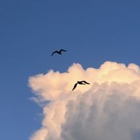 checkpoint - a lovestory