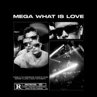 DJ BOSS - MEGA WHAT IS LOVE (Explicit)