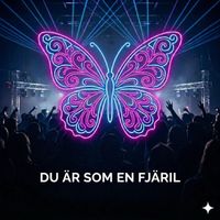 DJ Loop - DU ÄR SOM EN FJÄRIL (Radio edit.)