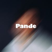 Pande - On Like This