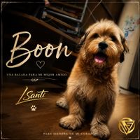 LSanti - Boon