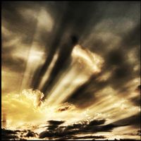 Sacriscai - Root of Night