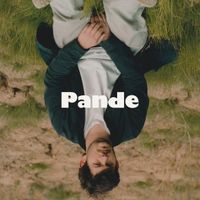 Pande - Paper Straws