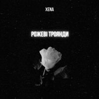 XENA - Рожеві троянди